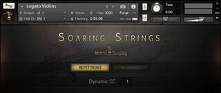 Sampler hangkönyvtár Musical Sampling Soaring Strings (Digitális termék) - 1
