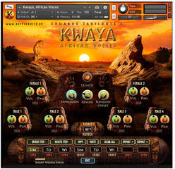 Sample i instrumenty wirtualne Best Service KWAYA (Produkt cyfrowy) - 3