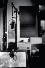 Podcastmicrofoon Shure SM7B Podcastmicrofoon - 5
