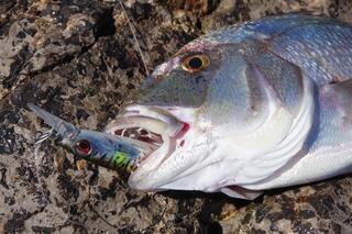 Vobler Savage Gear Gravity Runner Bloody Anchovy PHP 10 cm 55 g Vobler - 3