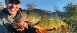 Gumová nástraha Savage Gear Craft Shad 5 pcs Plotice - 4