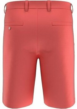 Short Callaway Chev Tech II Dubarry 36 Short - 3