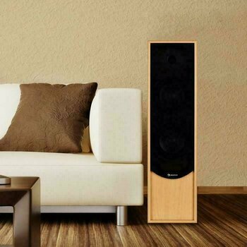 Hi-Fi Floorstanding speaker Auna Linie 300 Oak - 7