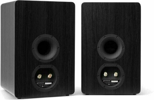 Enceinte bibliothèque Hi-Fi
 Numan Retrospective 1978 MKII Enceinte bibliothèque Hi-Fi Black - 2