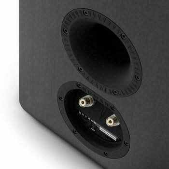 Enceinte bibliothèque Hi-Fi
 Numan Retrospective 1978 MKII Enceinte bibliothèque Hi-Fi Black - 4