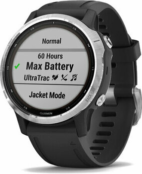 Smartwatch Garmin Fenix 6S Solar Silver Black Band - 13