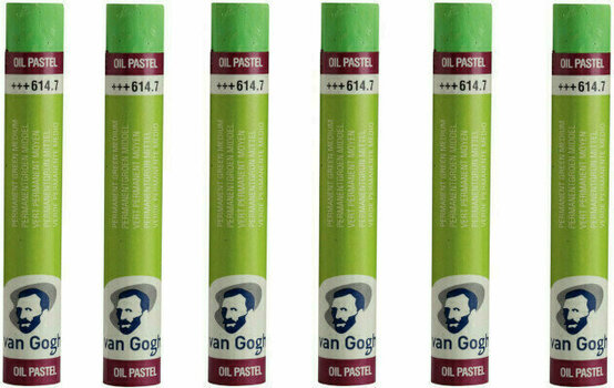 Pastel à l'huile Van Gogh Oil Pastel Stick Coffret de pastels à l'huile Permanent Green Medium 7 6 pièces - 2