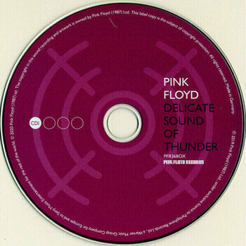 Vinyl Record Pink Floyd - Delicate Sound Of Thunder (Box Set) - 4