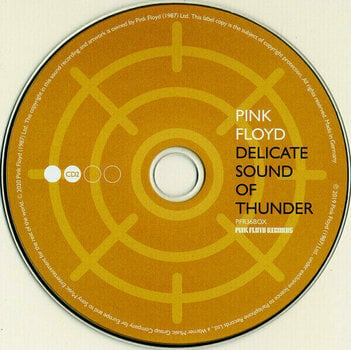 Vinyl Record Pink Floyd - Delicate Sound Of Thunder (Box Set) - 6