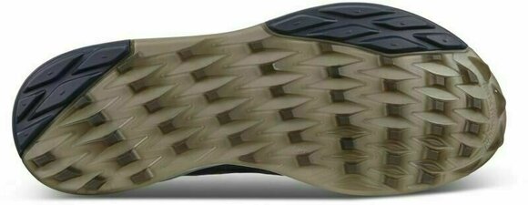 Men's golf shoes Ecco Biom Cool Pro Ombre 47 - 8