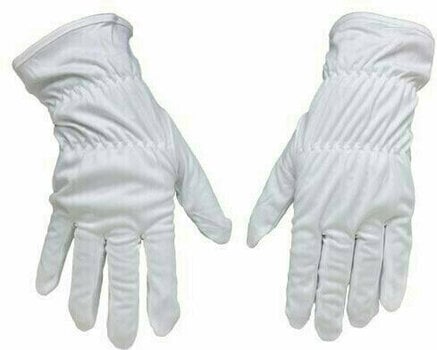 Reinigungsmittel für LP-Aufzeichnungen Audio Anatomy AC043 AA Handschuhe - 2