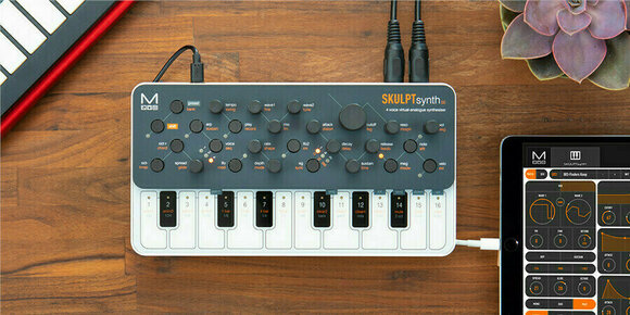 Syntezatory Modal Electronics Skulpt synth SE - 9