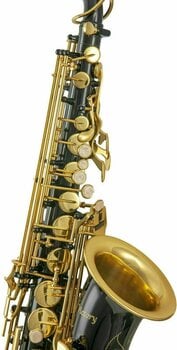 Alto saxophone Victory TCCSA-01C Alto saxophone - 2