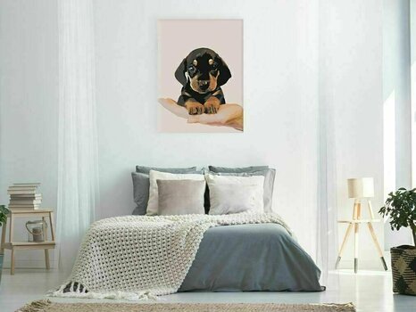 Painting by Numbers Zuty Painting by Numbers Shorthaired Dachshund Puppy - 2