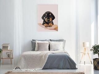 Schilderen op nummer Zuty RTMT-zlit090919V3 Shorthaired Dachshund Puppy - 1