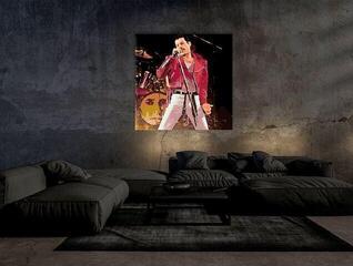 Pintura por números Zuty RTMT-Z5083 Freddie On Stage - 1