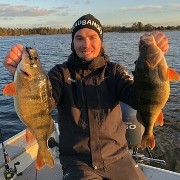 Fishing Hook Headbanger Lures RockerHead 7 g # 4 Green Pumpkin - 5