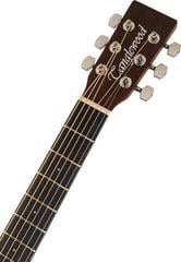 Elektro-akustična dreadnought Tanglewood TWCR D E Whiskey Barrel Burst Satin Elektro-akustična dreadnought - 4