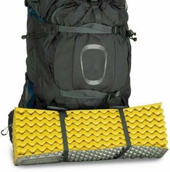 Outdoor Backpack Osprey Aether Plus 60 Axo Green S/M Outdoor Backpack - 15