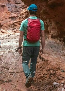 Lifestyle Backpack / Bag Osprey Daylite Cosmic Red 13 L Backpack - 3
