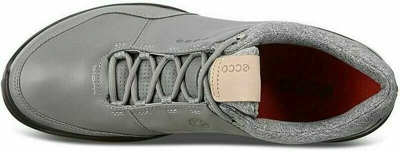 Chaussures de golf pour hommes Ecco Biom Hybrid 3 Mens Golf Shoes Wild Dove/Fire 45 - 5