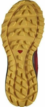 Pantofi de alergare pentru trail Salomon Trailster 2 Goji Bery/Ebony/Warm Apricot 42 Pantofi de alergare pentru trail - 5