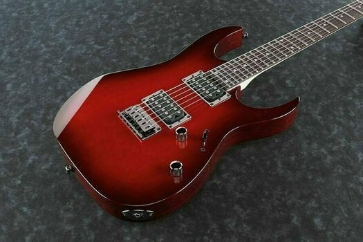 Guitarra eléctrica Ibanez RG421-BBS Blackberry Sunburst - 4