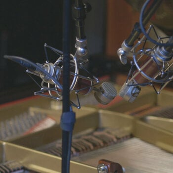 Condensatormicrofoon voor studio Blue Microphones Spark SL Condensatormicrofoon voor studio - 6