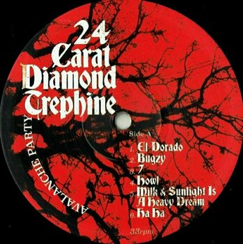 Vinyl Record Avalanche Party - 24 Carat Diamond Trephine (LP) - 2