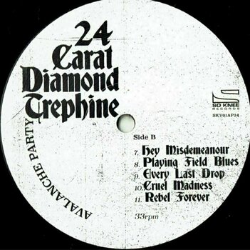 Vinyl Record Avalanche Party - 24 Carat Diamond Trephine (LP) - 3