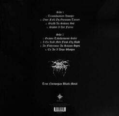 Schallplatte Darkthrone - Transilvanian Hunger (LP) - 2
