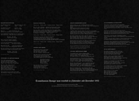 Schallplatte Darkthrone - Transilvanian Hunger (LP) - 2