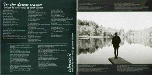 Hudobné CD Taylor Swift - Evermore (CD) - 7
