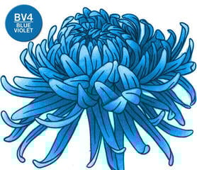 Marcador Chameleon BV4 Marcador de sombreado Blueviolet 1 pieza - 2