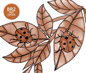 Marcador Chameleon BR2 Marcador de sombreado Hotcocoa 1 pieza - 2