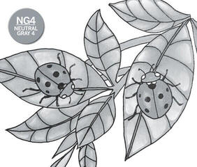 Marcador Chameleon NG4 Marcador de sombreado Neutral Grey 1 pieza - 2
