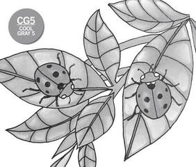 Marcador Chameleon CG5 Marcador de sombreado Cool Grey 1 pieza - 2