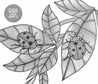 Markeerstift Chameleon CG5 Shading Marker Cool Grey - 3
