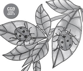 Marcador Chameleon CG9 Marcador de sombreado Grey 1 pieza - 2
