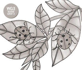Marcador Chameleon WG3 Marcador de sombreado WarmGrey 1 pieza - 2