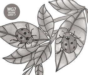 Marcador Chameleon WG7 Marcador de sombreado Warm Grey 1 pieza - 2