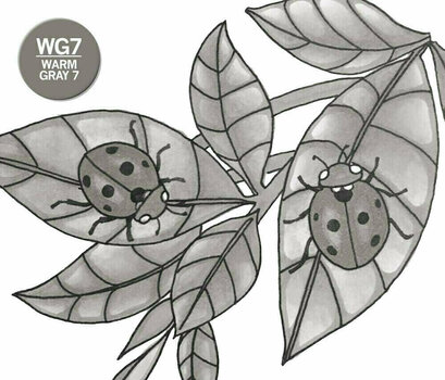 Merkintäkynä Chameleon WG7 Shading Marker Warm Grey 1 kpl - 3