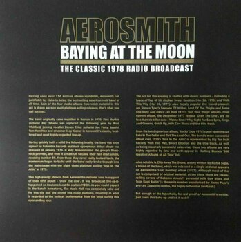 Disco de vinil Aerosmith - Baying At The Moon (2 LP) - 2