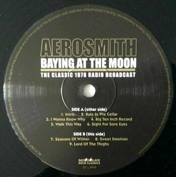Schallplatte Aerosmith - Baying At The Moon (2 LP) - 6