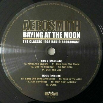Płyta winylowa Aerosmith - Baying At The Moon (2 LP) - 8