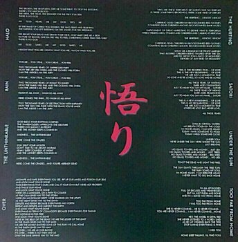 Vinyl Record Axegrinder - Satori (LP) - 3