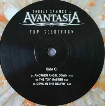 Vinyl Record Avantasia - The Scarecrow (Limited Edition) (2 LP) - 4