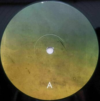 Disque vinyle Carbon Based Lifeforms - Twentythree (2 LP) - 2