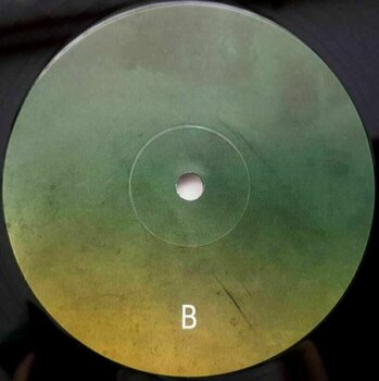 Vinyl Record Carbon Based Lifeforms - Twentythree (2 LP) - 3