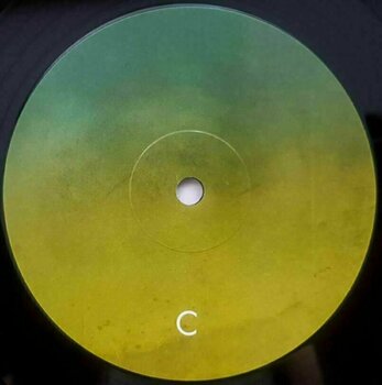 Disco de vinilo Carbon Based Lifeforms - Twentythree (2 LP) - 4